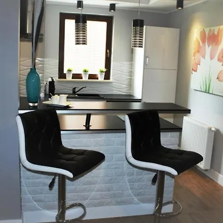 Black & White - Sopocka Rezydencja By Oneapartments 索波特